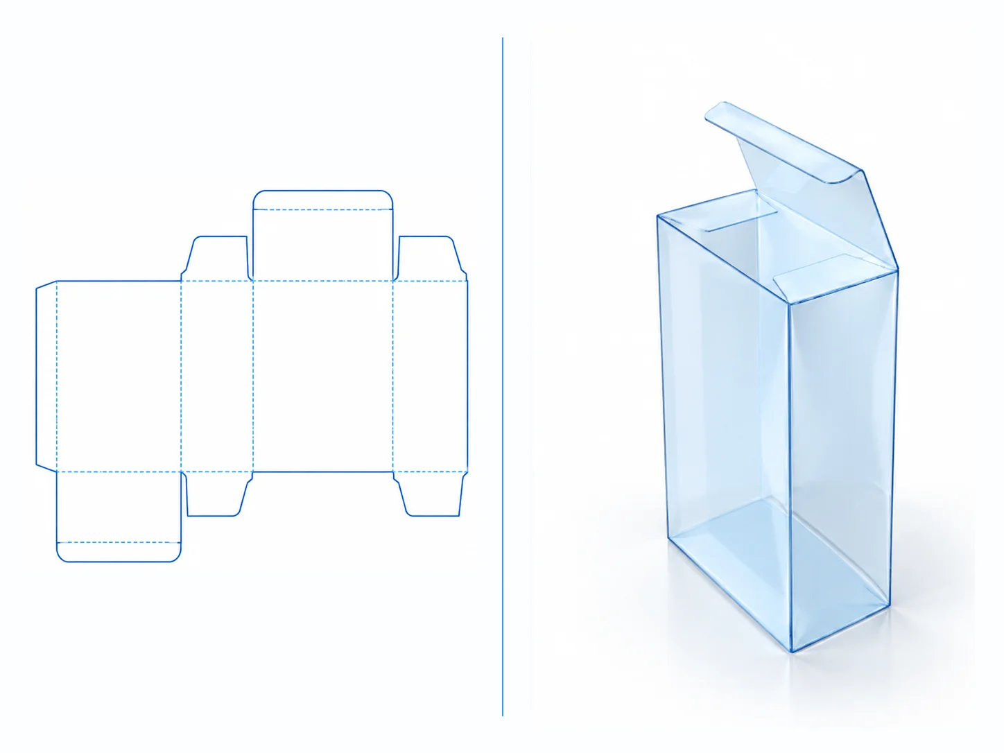 Reverse Tuck End dieline and transparent 3D box structure