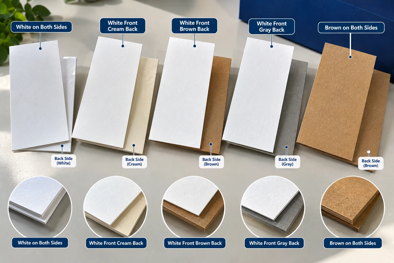 Samples of SBS, FBB, SUS and CRB paperboard fanned out to show their faces and backs